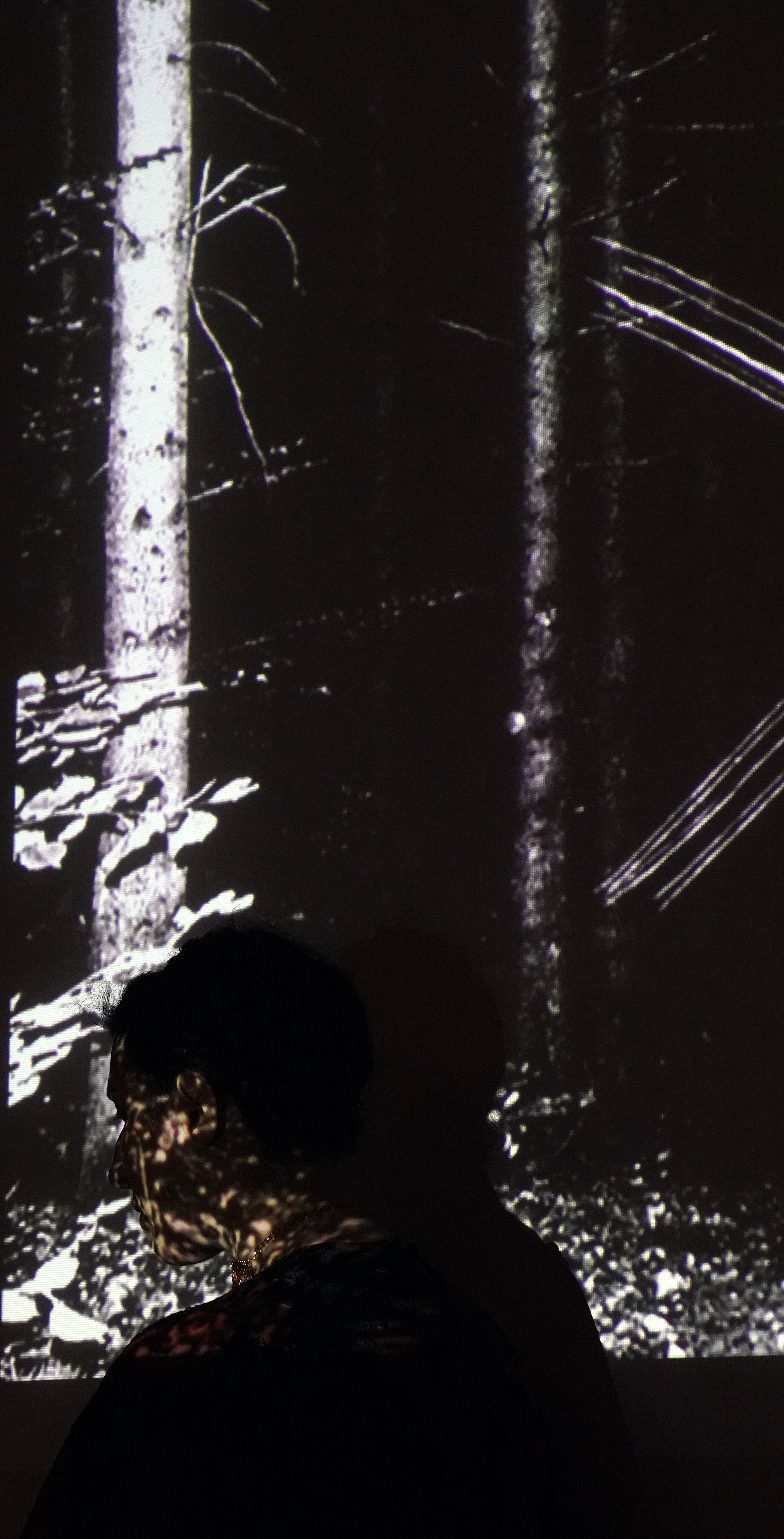 Silhouette before a projected forest with light on the face